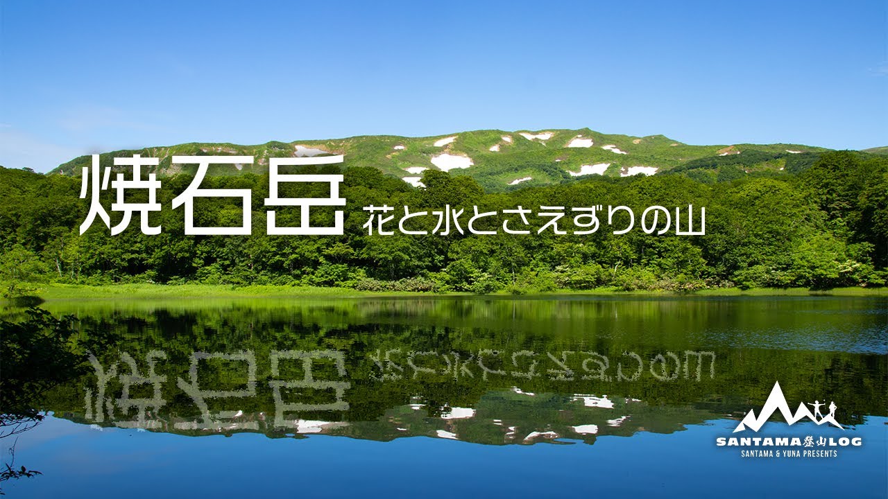 焼石岳 花と水とさえずりの山