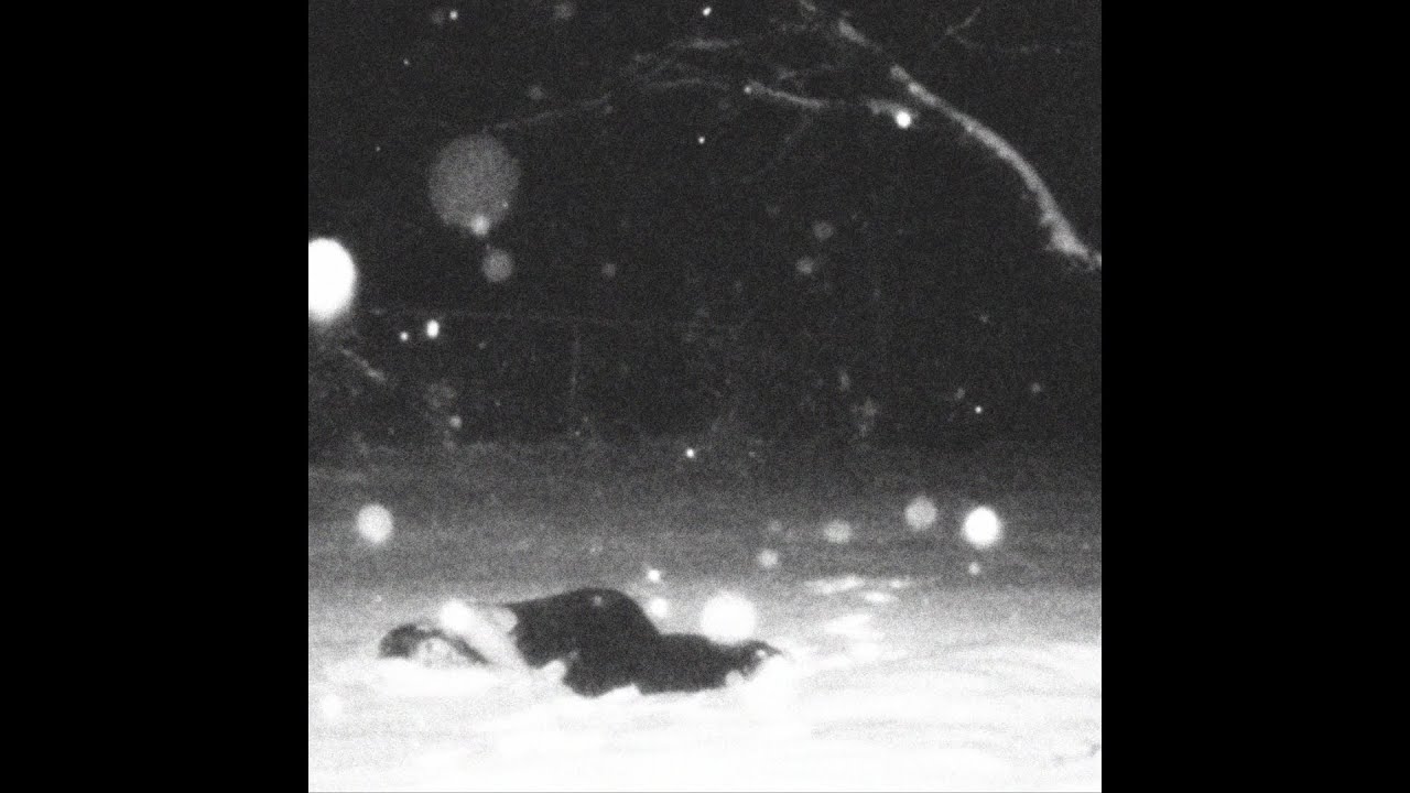 [FREE] OLD XXXTENTACION X CLAMS CASINO TYPE BEAT 