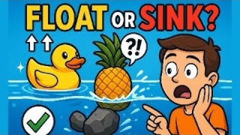 THE BUOYANCY EXPLAINED | Will It Float or Sink? | ANIMATION