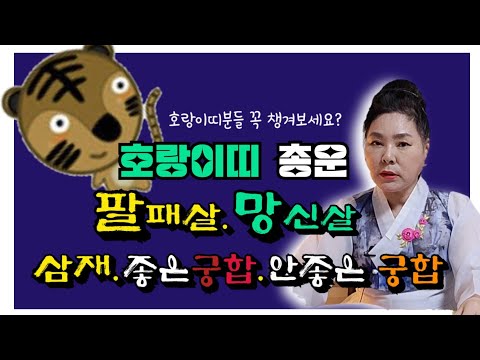 🐯호랑이띠분들 꼭 알고 가세요? #삼재 #호랑이띠와좋은궁합 #호랑이띠와안좋은궁합