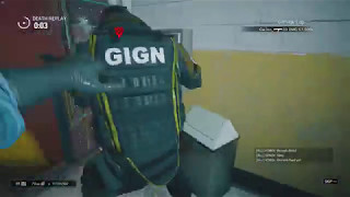 montagne shield bug vol 7