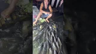 livestreaming 2026/08/23 22:04:11.