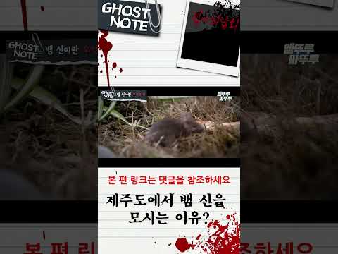 [심야괴담회 shorts] 제주도에서 뱀 신을 모시는 이유? #심야괴담회 #shorts