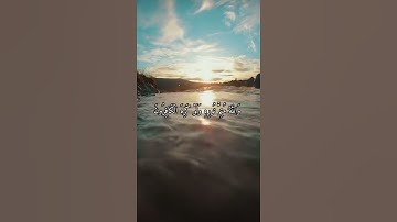 واتس اب قران كريم القارئ شريف مصطفى (سوره الصف)