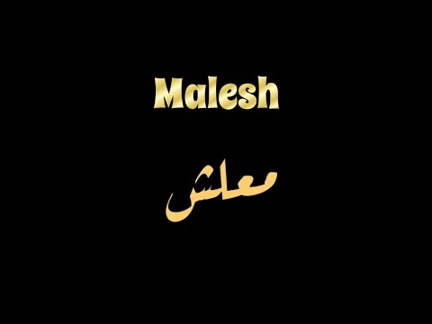 Malesh [Translated] | معلش - كله فدا فلسطين (مترجمة)