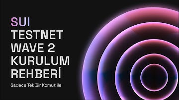Sui Testnet Wave 2 Node Kurulum Rehberi