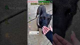 Ranking unfriendly dog moments👀#usa#short#ranked#viral#fyp#animals#dog#funny#texas#california