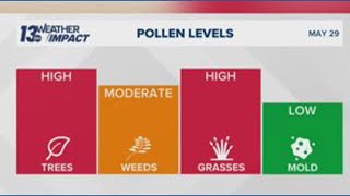 High pollen count into the weekend