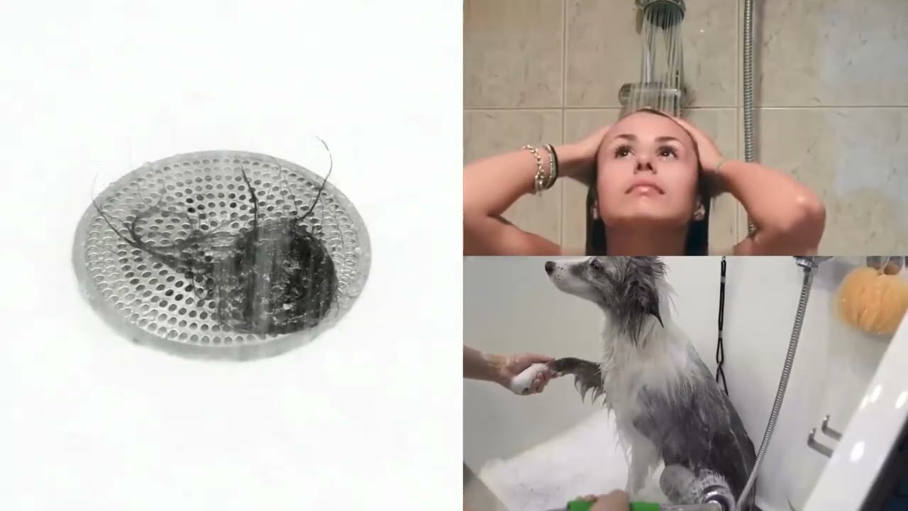 B K JAGAN & CO Stainless Steel drain cover Jali 8 x 8 Inch