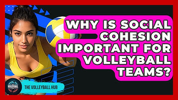 Why Is Social Cohesion Important For Volleyball Teams? - The Volleyball Hub