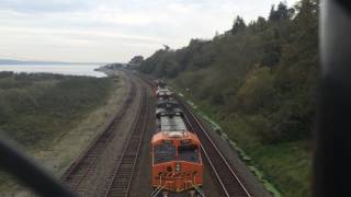 IMG 4825
