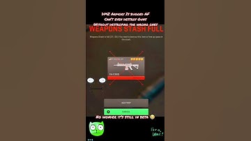 WZ2 S1 DMZ Bug Throwback