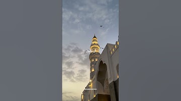 #تلاوات #المصحف #تلاوة_خاشعة #راحة_نفسية #رمضانمبارك #رمضان #قران_كريم #قرآن