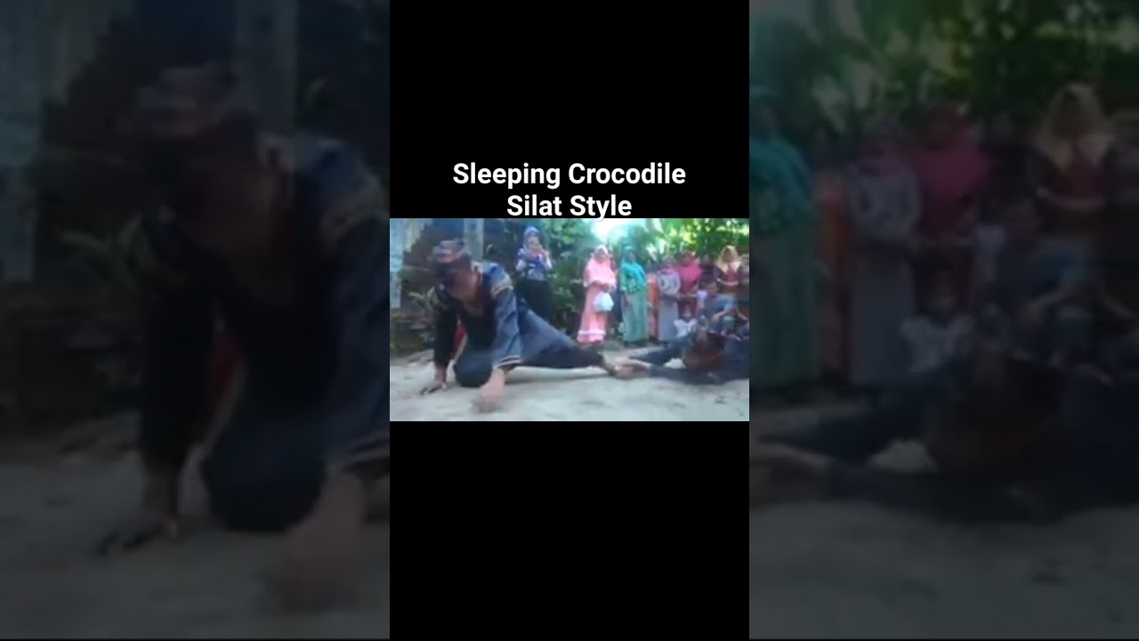 Silek Buayo Minangkabau (Sleeping Crocodile Silat Style) 