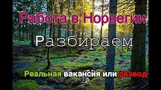 Как правильно разбирать предложения о работе в Норвегии .