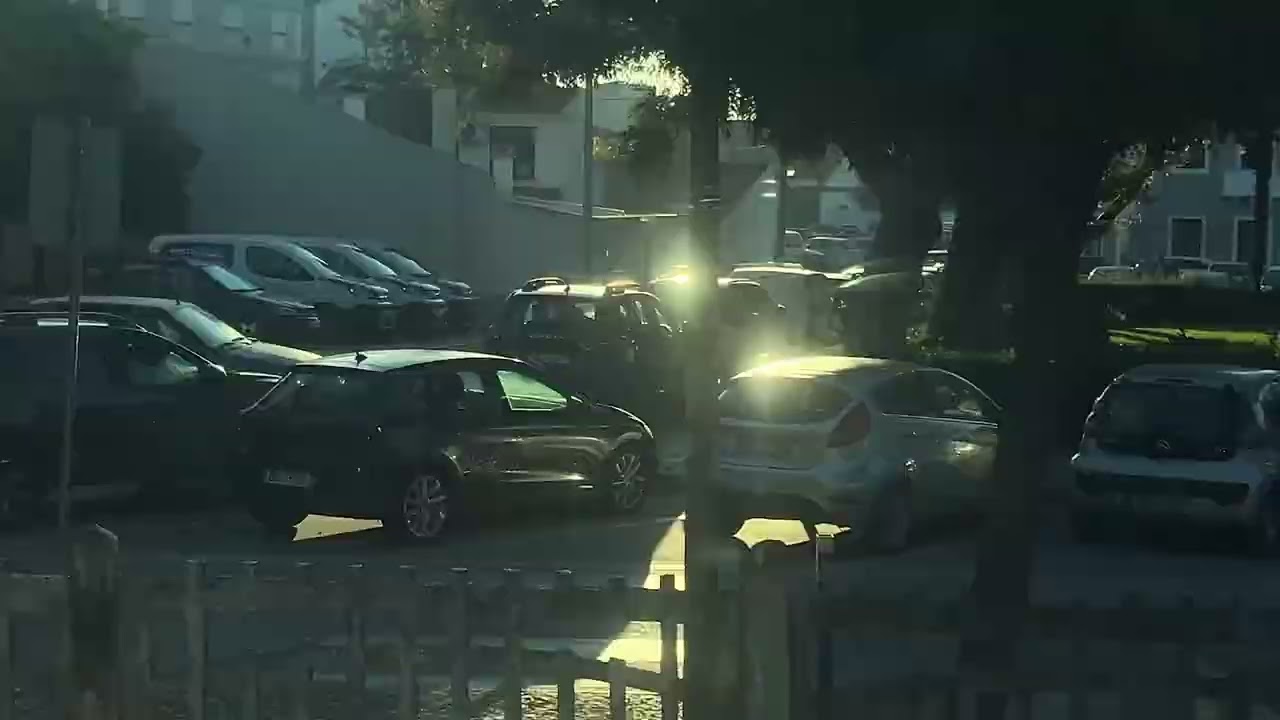 Rui Gaio - everyday 086: A rose is not a rose