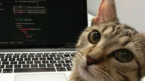 Belajar Pemrograman Dasar : Program Kasus Diskon Belanja Menggunakan def()