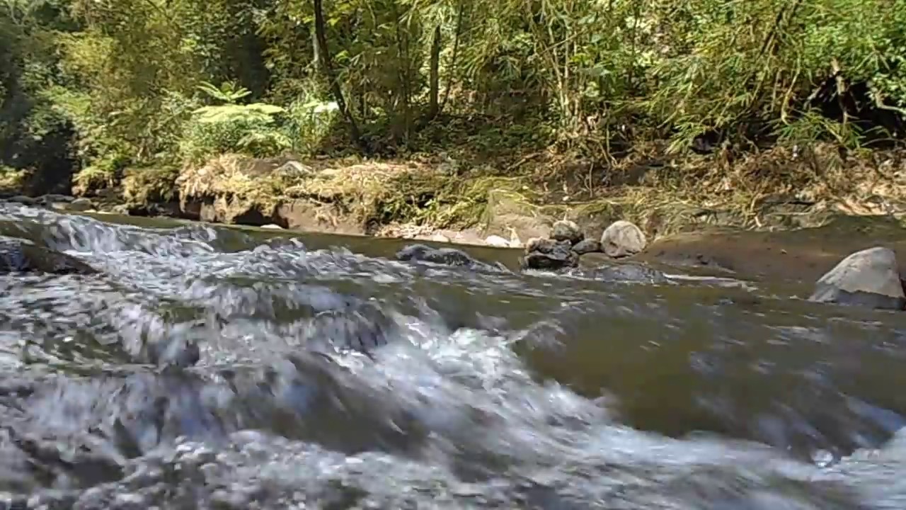 Gemericik Air Sungai Mengalir YouTube
