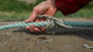 Red Dog Knots
