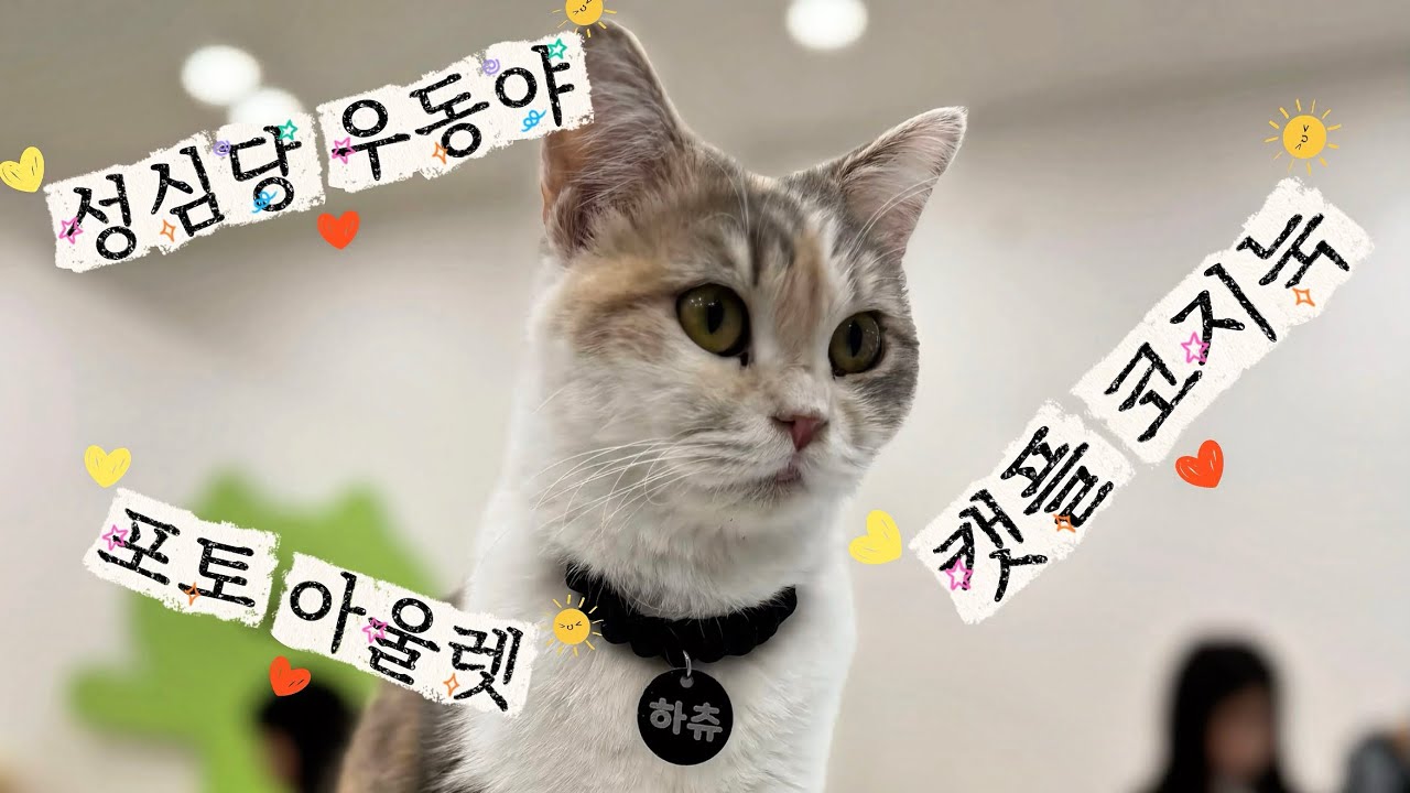 [4K] 성심당 우동야 , 캐플 코지눅 , 포토 아울렛 가보기