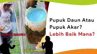 Pupuk Lewat Daun Vs Akar! Lebih Cepat dan Efektif Mana?