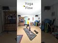 Yoga at 70: First Flow Today #yogi #yogaflow #yogaover70
