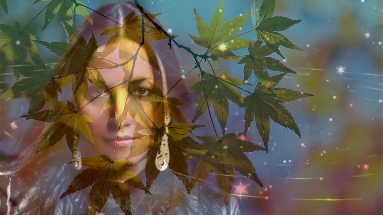 Не бывает слишком поздно для любви гордьера. Поздняя любовь картинки с надписями. Не бывает слишком поздно для любви гордьера. Не бывает слишком поздно для любви гордьера. Ночи в роданте nights in rodanthe, 2008.