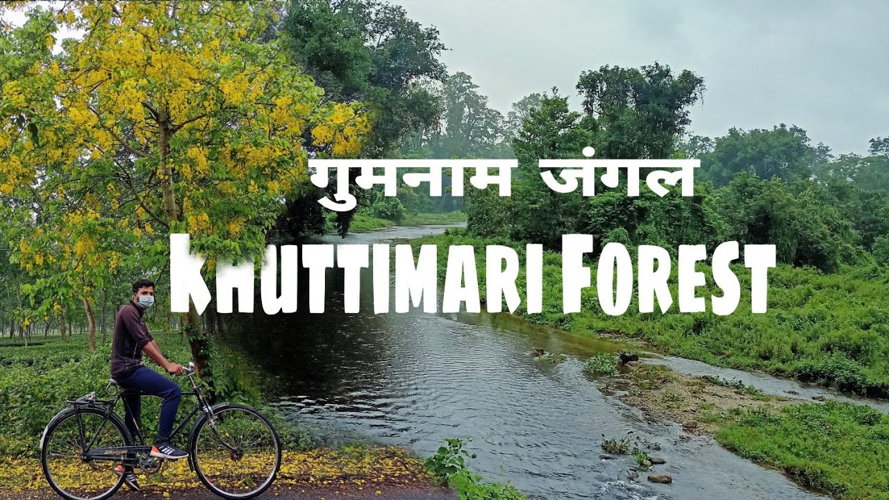 Khuttimari forest - the lost forest of Dooars | Madhubani park 