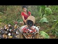 Catch and cook Shell for food in jungle, Shell spicy chili cooking for dinner, Survival cooking