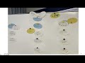 SAP Integrated Toolchain for Automotive