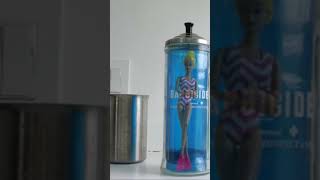 Restore And Refresh Your Vintage Barbie Doll