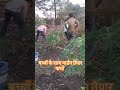 बच्चों के साथ गार्डन तैयार करते #मस्ती टाइम