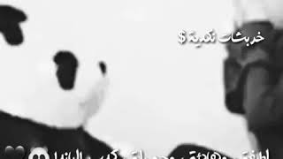 حالات واتساب بنات - عن الباندا 🐼🌸