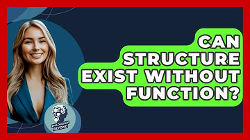 Can Structure Exist Without Function? - Philosophy Beyond