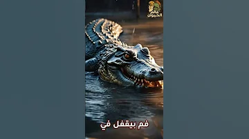 ملك المياه العذبـة التمساح وثائقي أسرار الحيوانات معلومات مدهشة أسرار الطبيعة حيوانات 