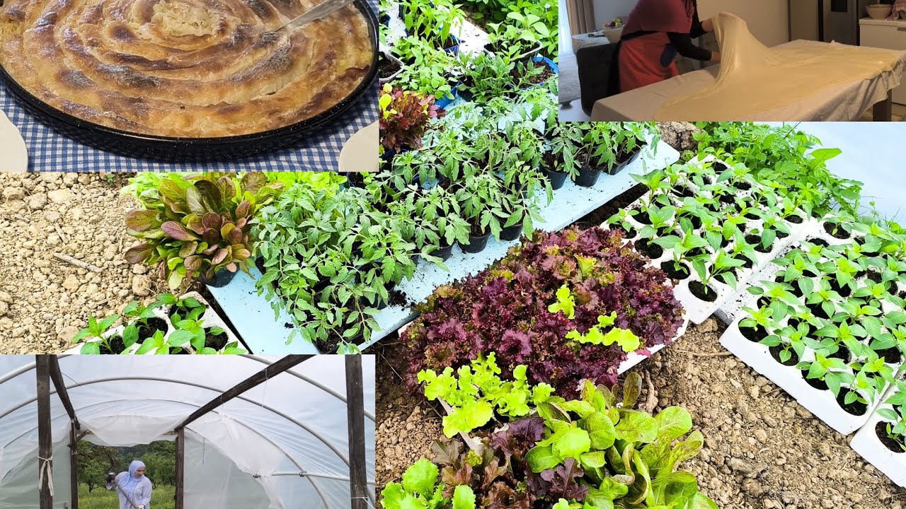 Umorna, ali sretna: plastenik, njiva i hrana iz domaće kuhinje 🩷