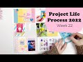 Project Life Process 2022- Week 22