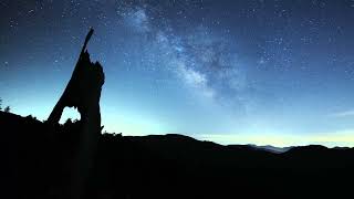 Asmr Digital Triggers Aggressive Ableton Live Dsp Signal Processing