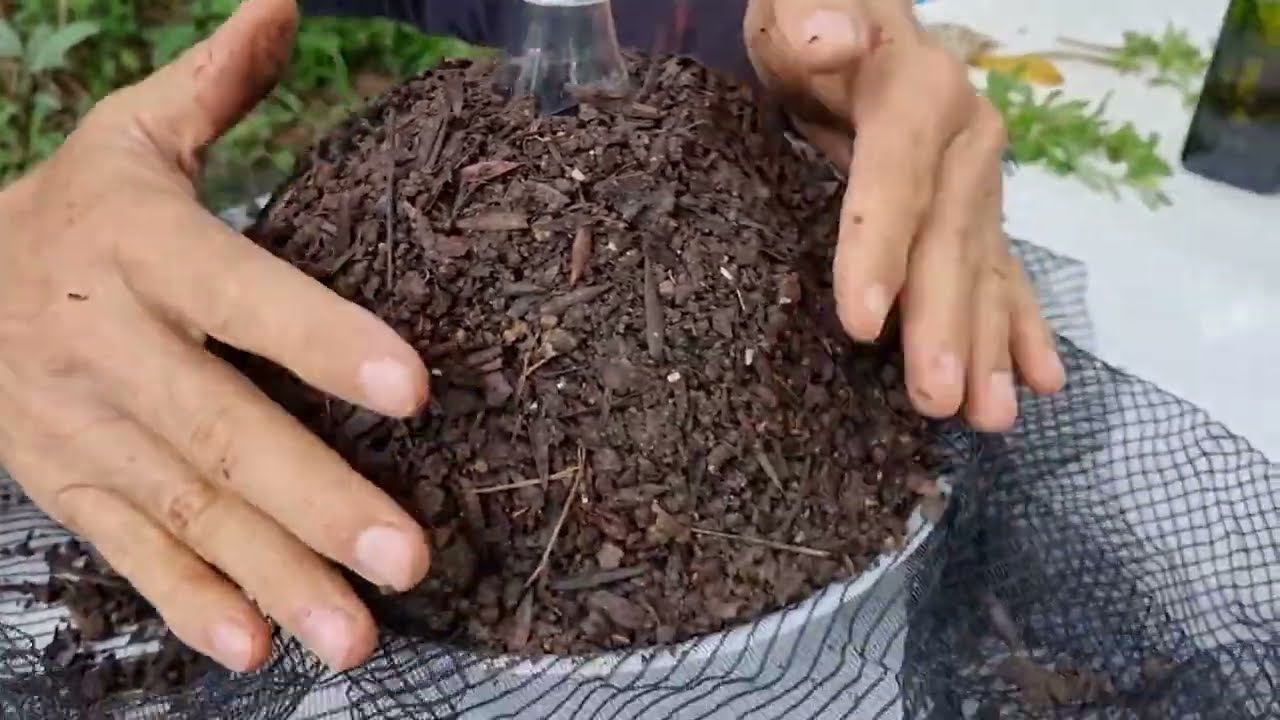 Красивая идея с Белербругой - Разное способ подвеса №2