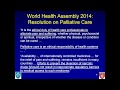 Integrating Palliative Care Responses to Humanitarian Emergencies & Crisis - Dr. Eric Krakauer