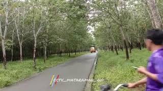 Kembali absen.Alicia truk asli Banua,truk Kalsel,mantap jiwa.