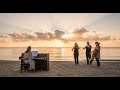 Jardines Del Alma: Piano Y Cuerdas Suaves Que Inspiran Amor Y Serenidad
