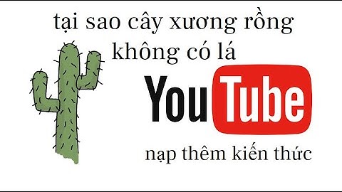 #2:Tại sao cây xương rồng không có lá ?