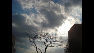 Adonai Machsi Psalm 91 ה מחסי תהילים צ א