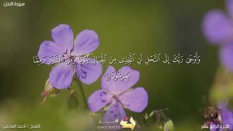 سورة النحل آية 68 و 69