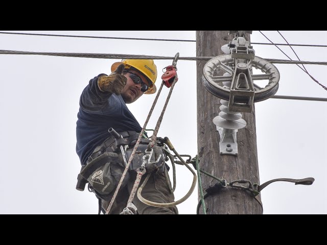 Lineman Pole Climbing Gear Lineman Pole/Tree Climbing Gear Bashlin