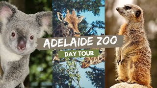 Adelaide Zoo - South Australia | Day Trip