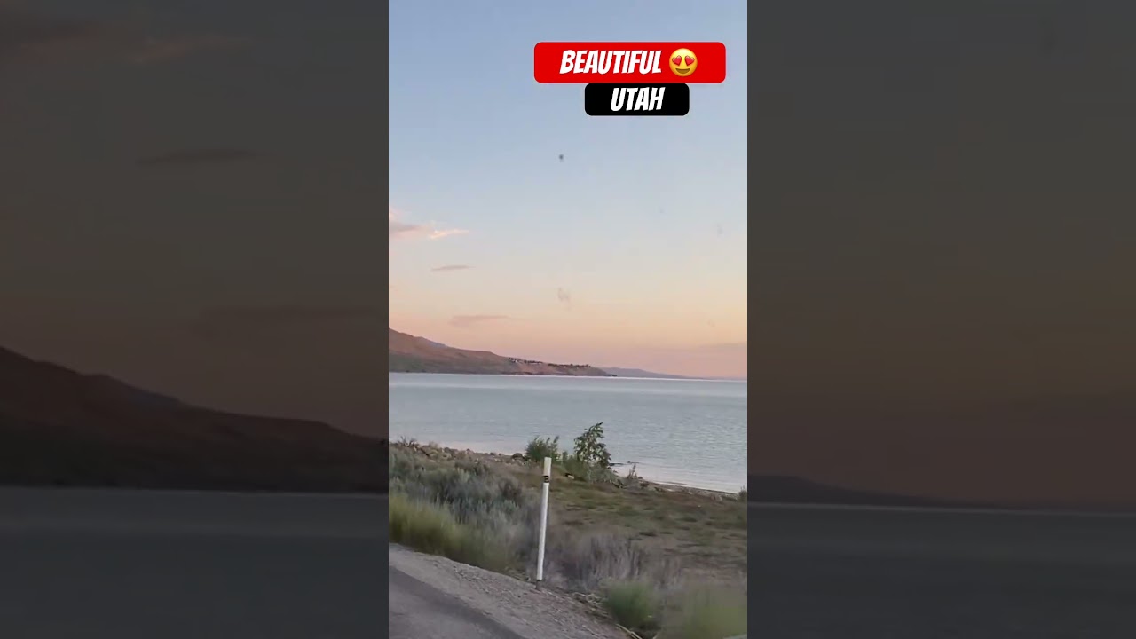 A lot of people living 