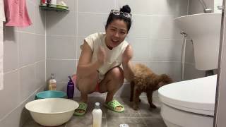 VLOG 아줌마일상, 강아지목욕시키는날! 준비됐나? 준비됐다! VLOG 아줌마일상, 강아지목욕시키는날! 준비됐나? 준비됐다!