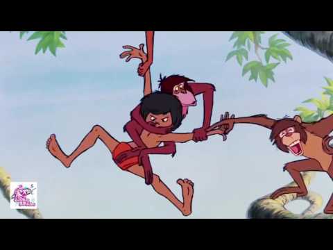 Candy Studio - \"მაუგლი\"